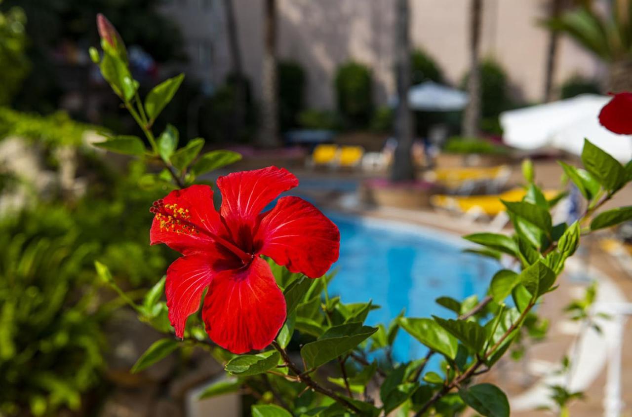 Hotel Guitart Rosa - Adults Only Lloret de Mar Kültér fotó